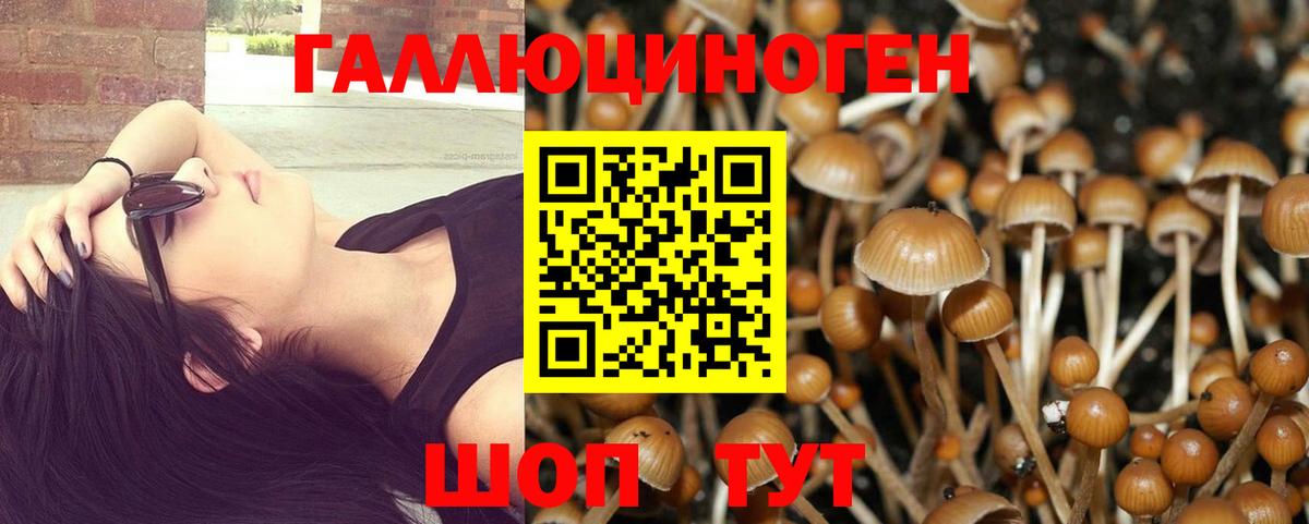Можга  Псилоцибиновые грибы Psilocybine cubensis  Галлюциногенные грибы MAGIC MUSHROOMS  Вход с VPN 